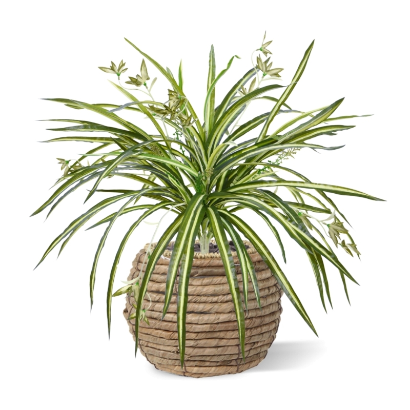 Chlorophytum RT pendente artificiale 45cm