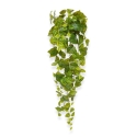 Pothos artificiale ricadente 90 cm varigato