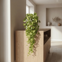 Pothos artificiale ricadente 90 cm varigato