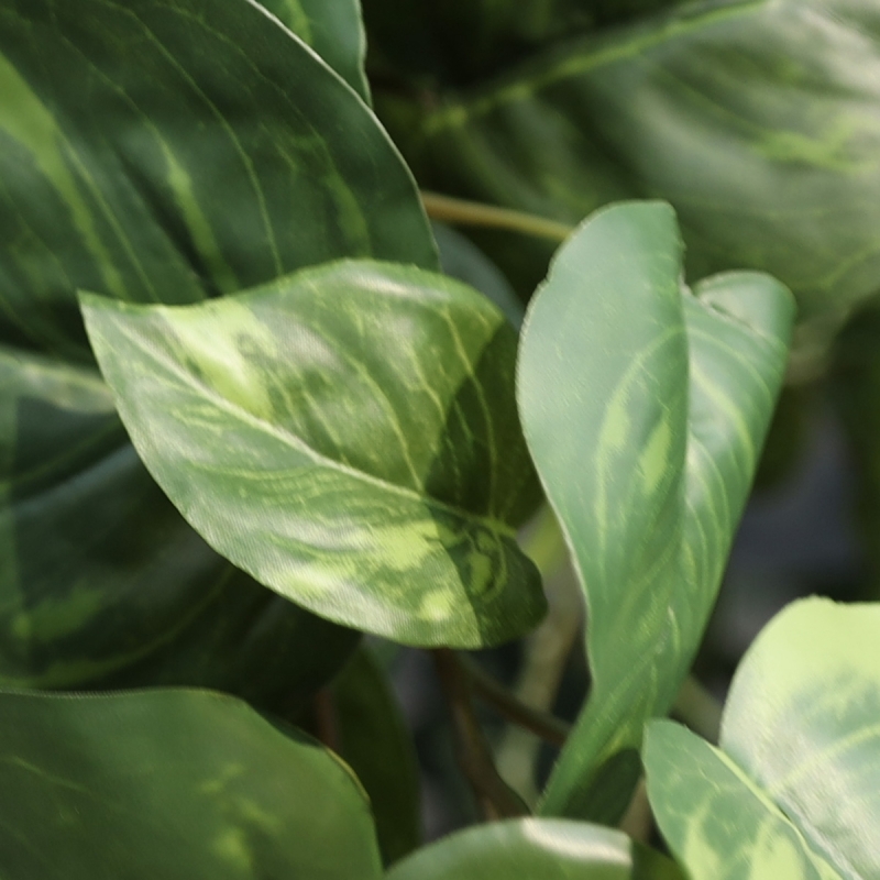 Pothos artificiale ricadente 90 cm varigato