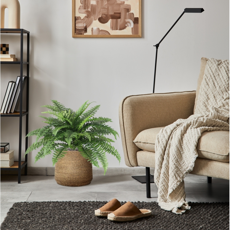 Bouquet Boston Fern Deluxe 65 cm