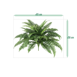 Bouquet Boston Fern Deluxe 65 cm