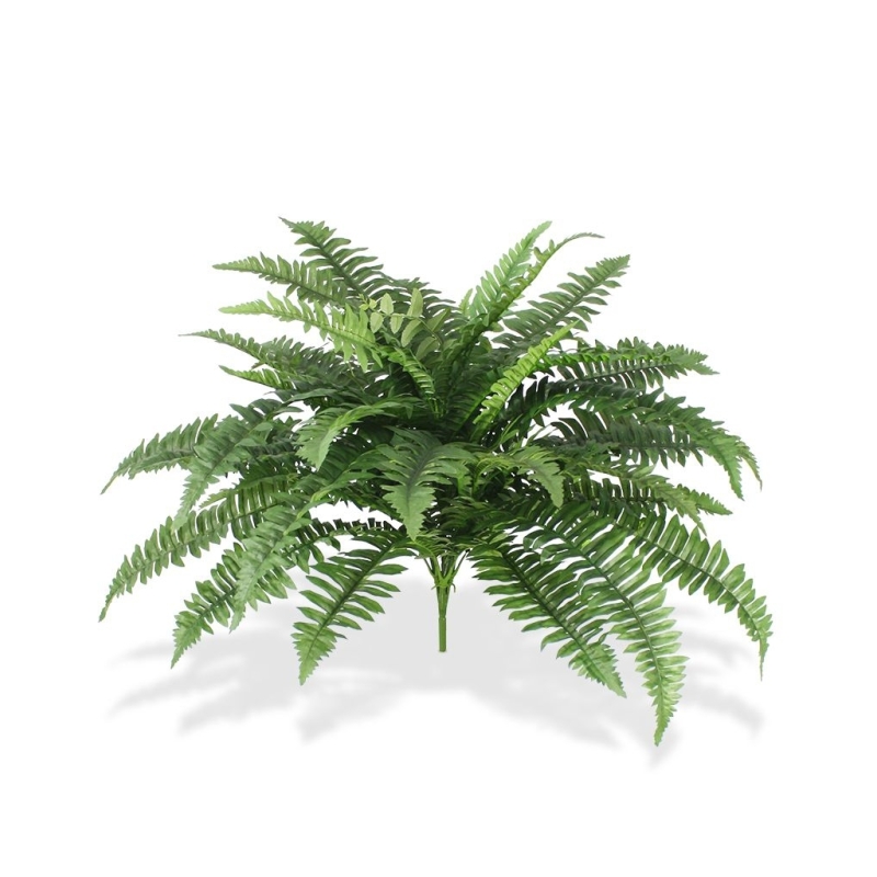 Bouquet Boston Fern Deluxe 65 cm