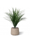 Cespuglio di erba di bambù 40 cm