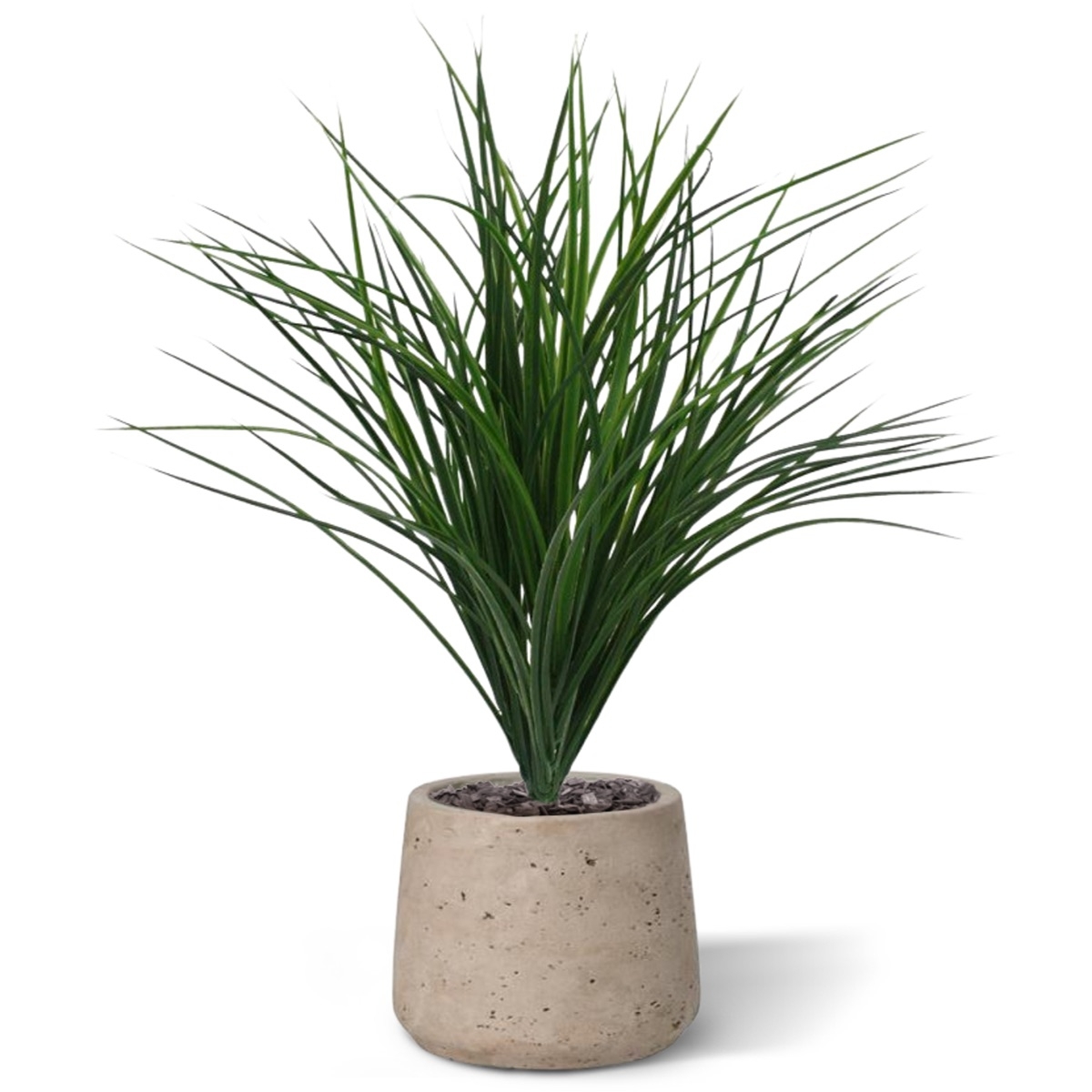 Cespuglio di erba di bambù 40 cm