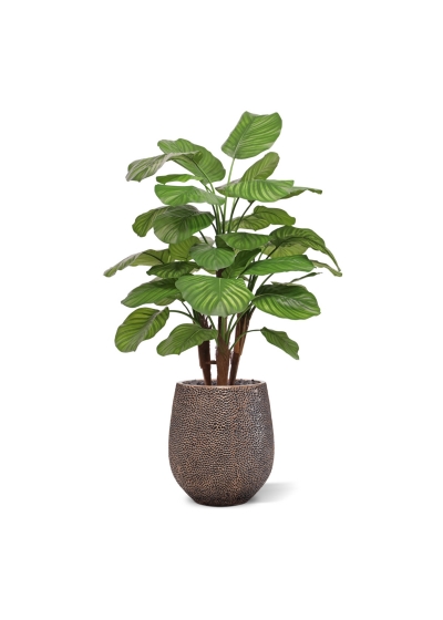 Calathea Fasciata artificiale Deluxe 110cm