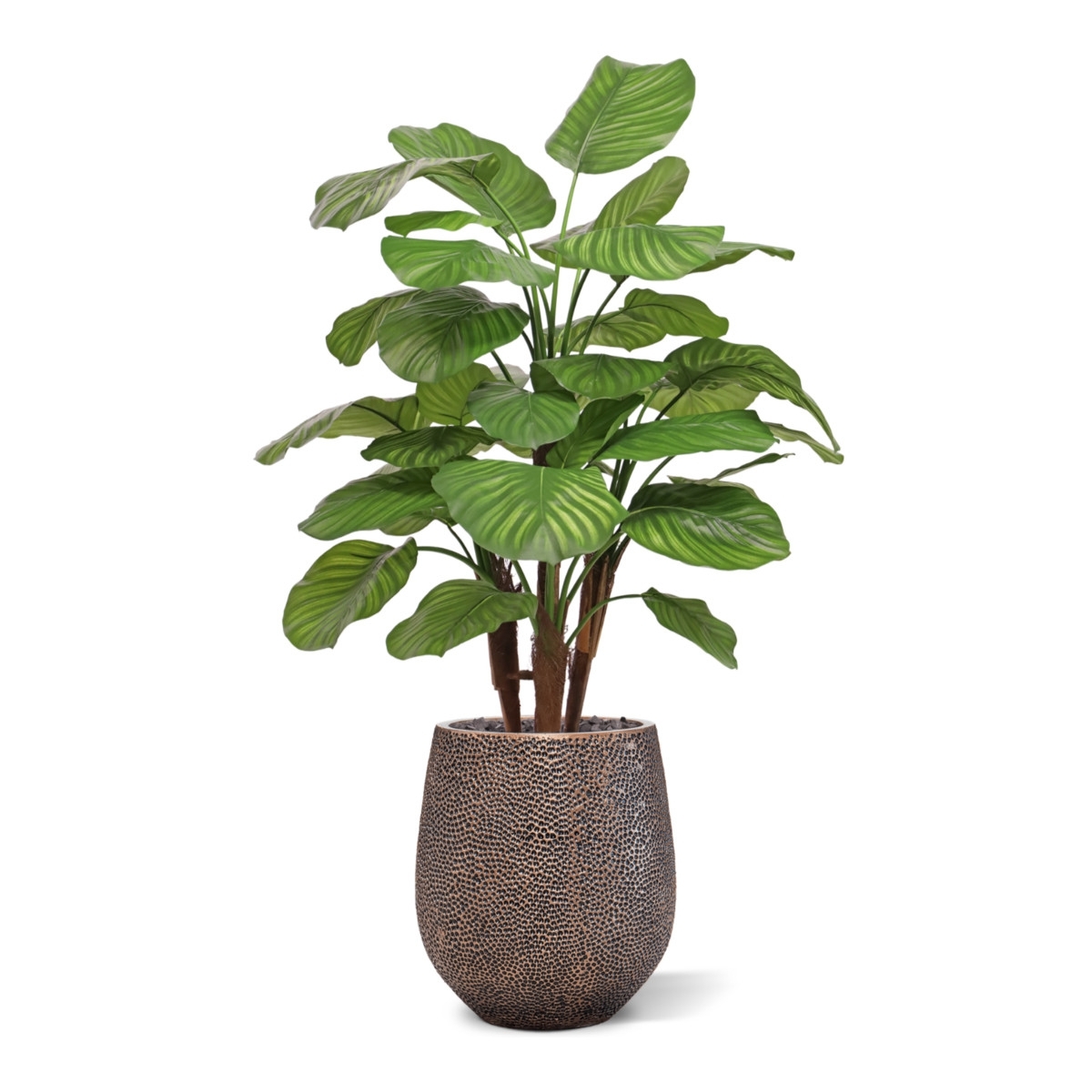 Calathea Fasciata artificiale Deluxe 110cm