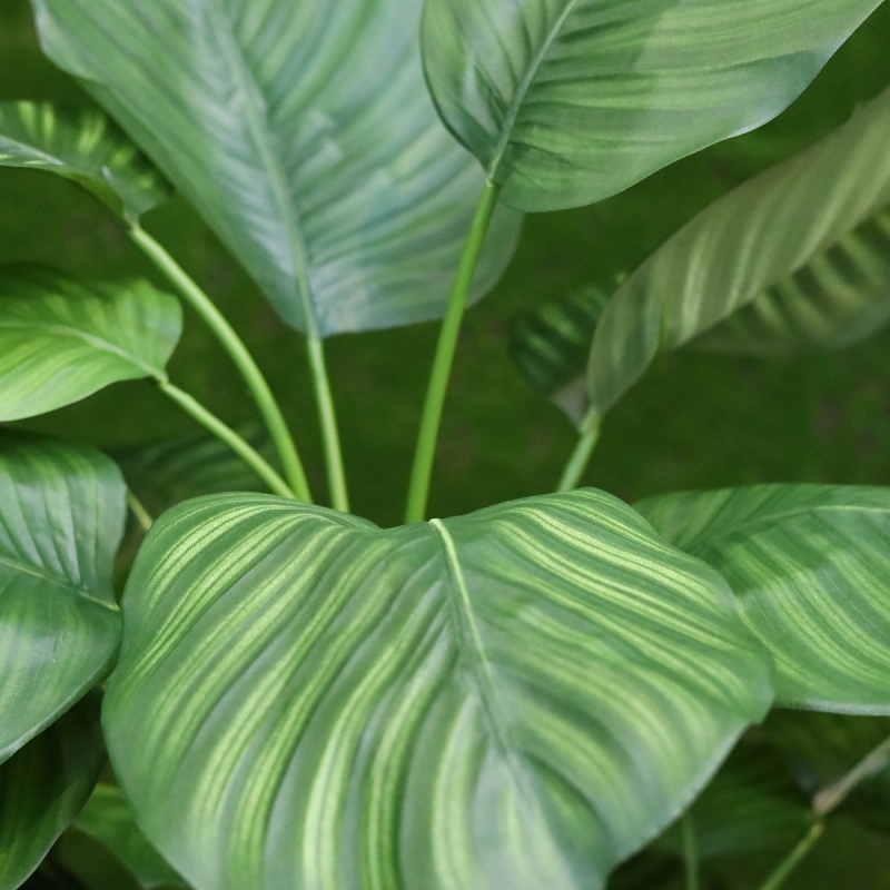 Calathea Fasciata artificiale Deluxe 110cm