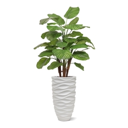 Calathea Fasciata artificiale Deluxe 110cm