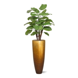 Calathea Fasciata artificiale Deluxe 110cm