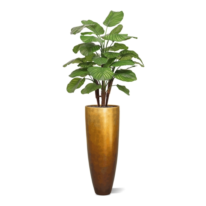 Calathea Fasciata artificiale Deluxe 110cm