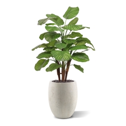 Calathea Fasciata artificiale Deluxe 110cm