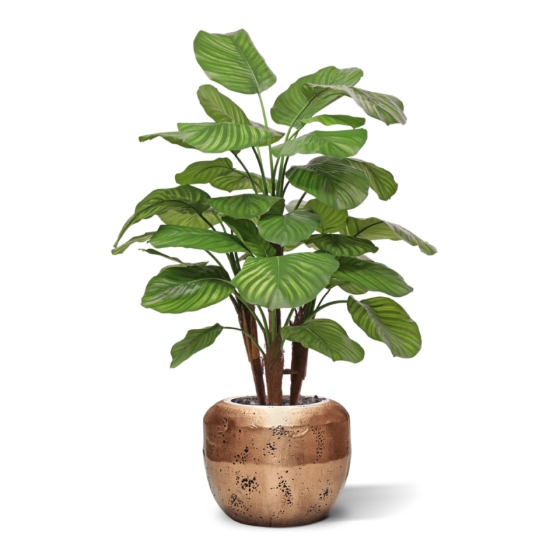 Calathea Fasciata artificiale Deluxe 110cm