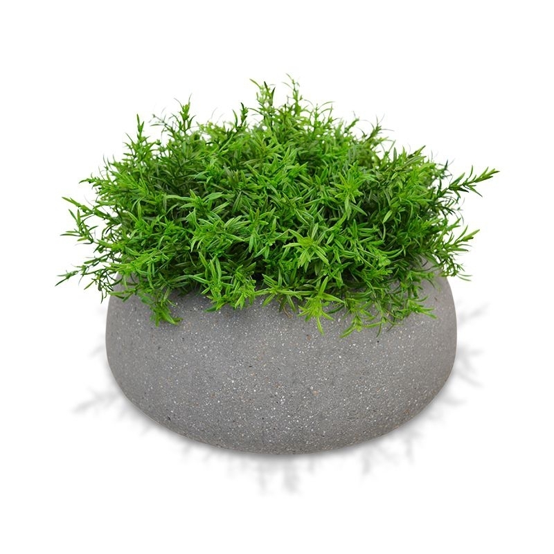 Senecio pianta artificiale 15cm