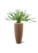 Pianta artificiale Staghorn XL