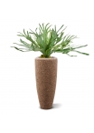 Pianta artificiale Staghorn XL