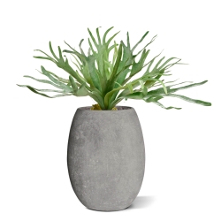 Pianta artificiale Staghorn XL