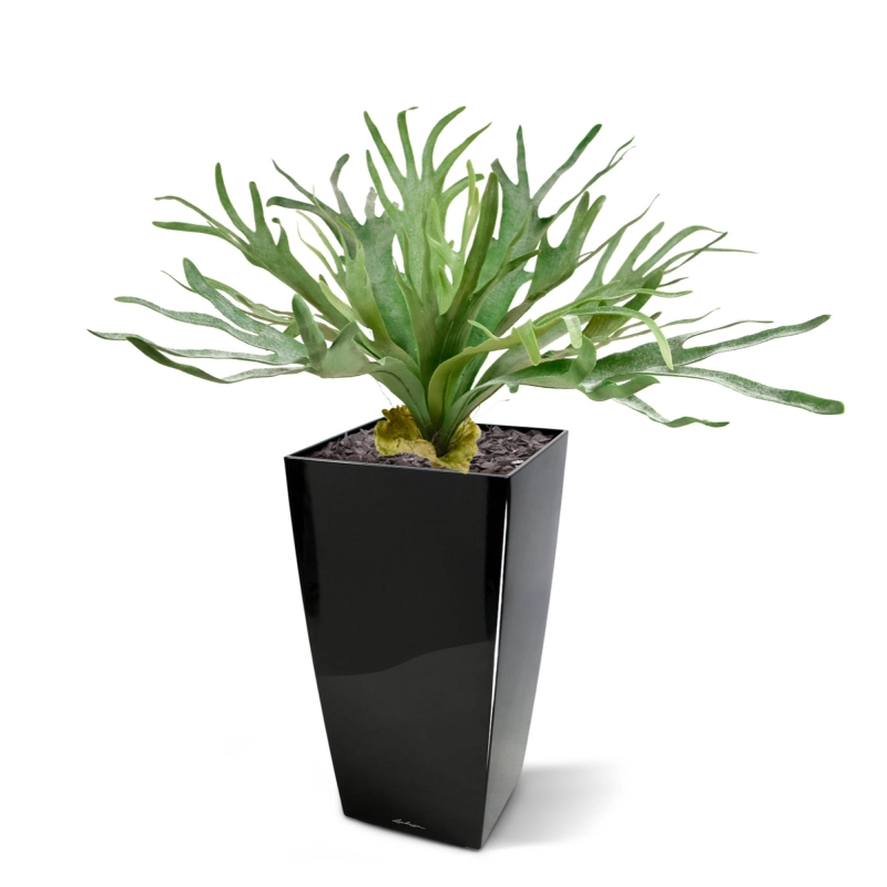 Pianta artificiale Staghorn XL