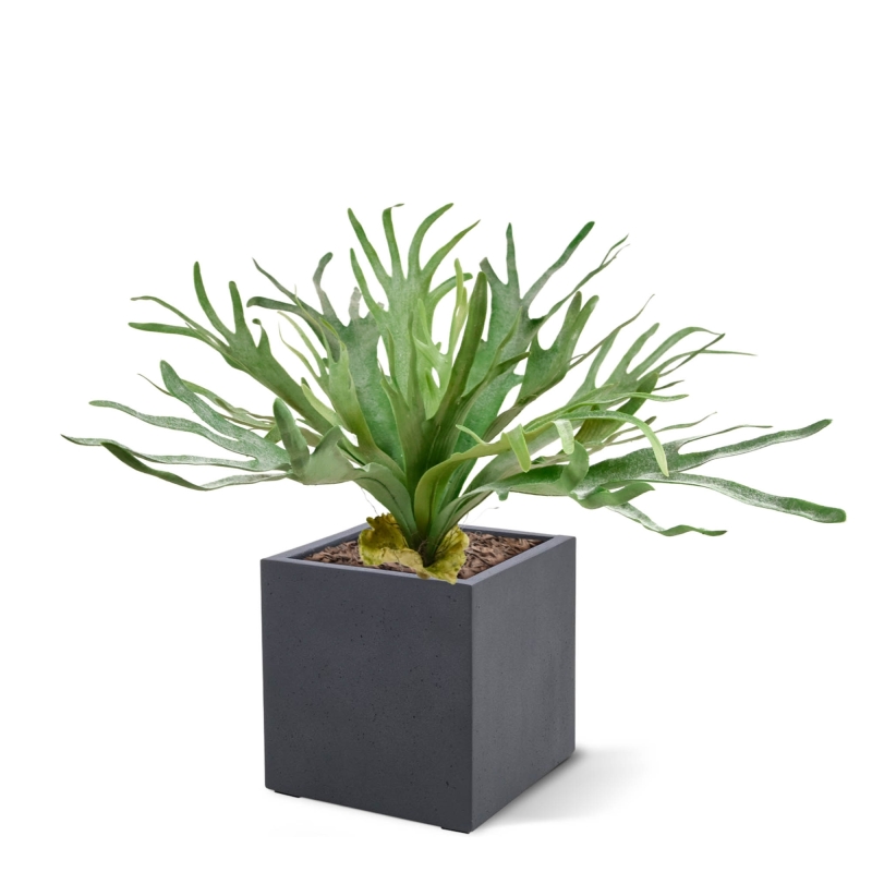 Pianta artificiale Staghorn XL