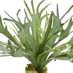 Pianta artificiale Staghorn XL