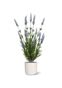 Bouquet artificiale di lavanda 50 cm blu UV
