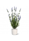 Bouquet artificiale di lavanda 50 cm blu UV