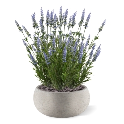 Bouquet artificiale di lavanda 50 cm blu UV