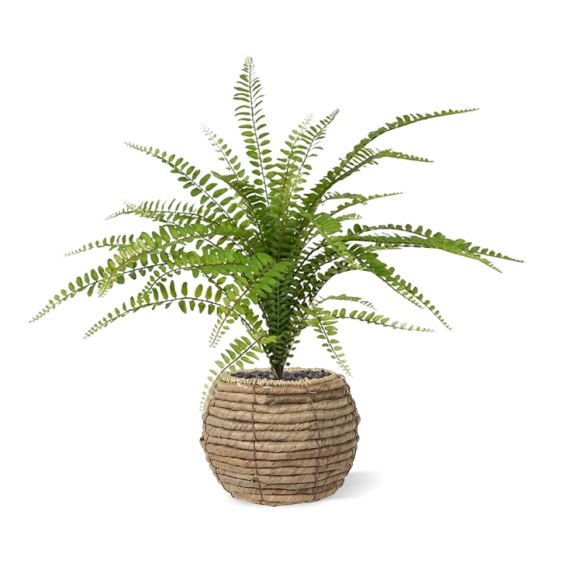 Bouquet di felci artificiali Asplenium 45 cm