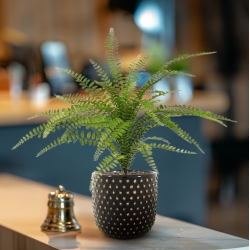 Bouquet di felci artificiali Asplenium 45 cm