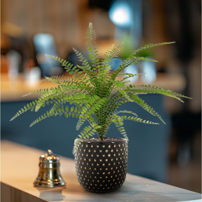 Bouquet di felci artificiali Asplenium 45 cm