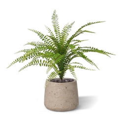 Bouquet di felci artificiali Asplenium 45 cm
