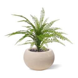 Bouquet di felci artificiali Asplenium 45 cm