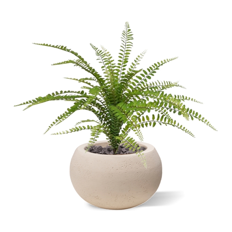 Bouquet di felci artificiali Asplenium 45 cm