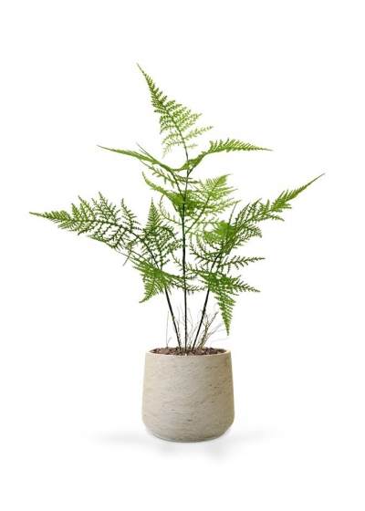 Bouquet di asparagi finti 40 cm