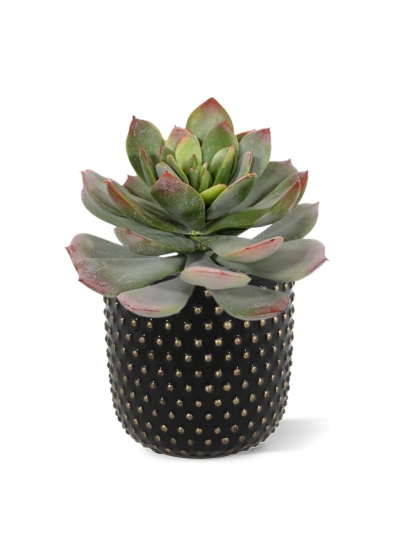 Bouquet artificiale di Echeveria 25 cm verde-rosso