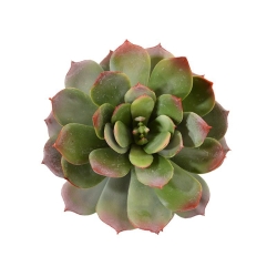 Bouquet artificiale di Echeveria 25 cm verde-rosso