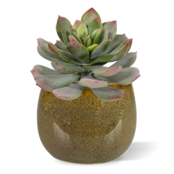 Bouquet artificiale di Echeveria 25 cm verde-rosso