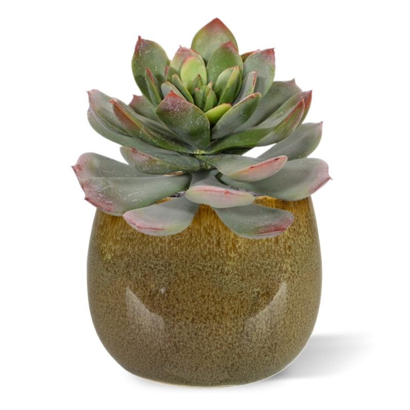 Bouquet artificiale di Echeveria 25 cm verde-rosso