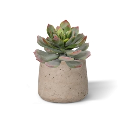 Bouquet artificiale di Echeveria 25 cm verde-rosso