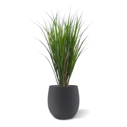 Canneto artificiale Deluxe 80cm verde UV