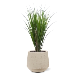 Canneto artificiale Deluxe 80cm verde UV