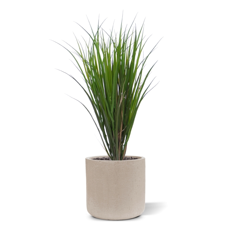 Canneto artificiale Deluxe 80cm verde UV