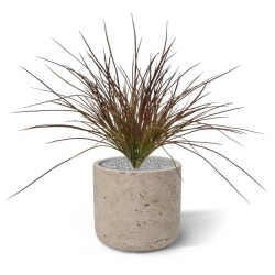 Pianta d'erba artificiale larga 40 cm - Borgogna