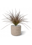 Pianta d'erba artificiale larga 40 cm - Borgogna