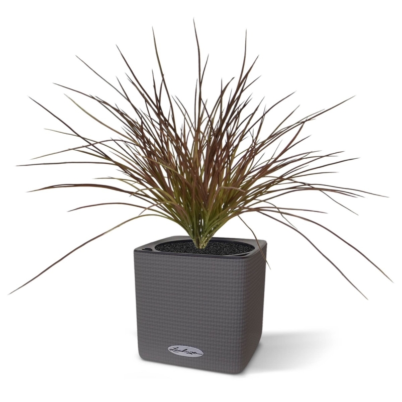 Pianta d'erba artificiale larga 40 cm - Borgogna