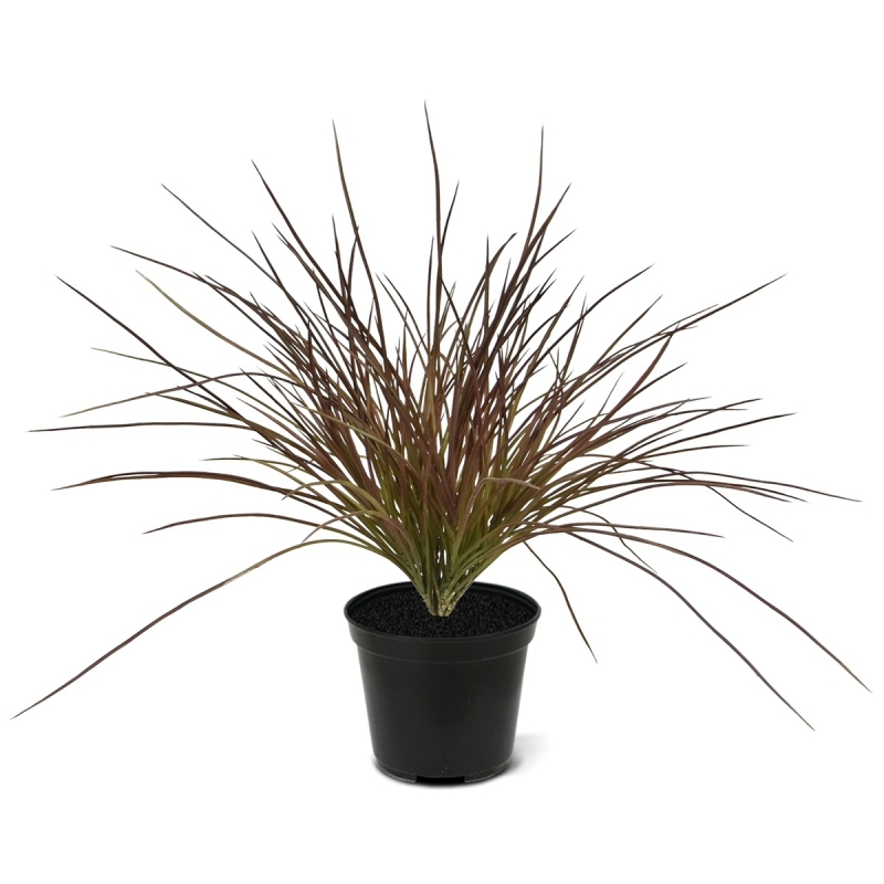 Pianta d'erba artificiale larga 40 cm - Borgogna