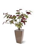 Begonia Maculata pianta artificiale 110 cm