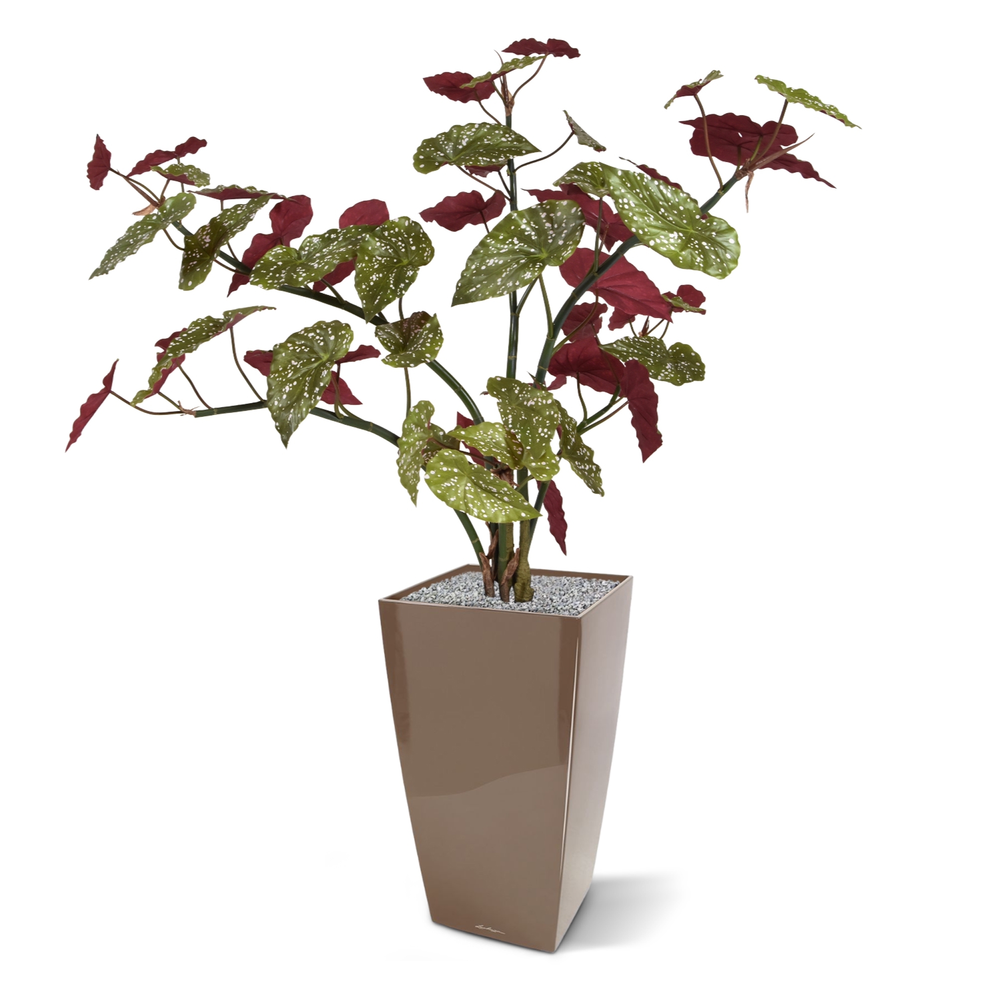 Begonia Maculata pianta artificiale 110 cm