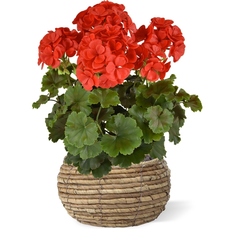 Geranio PL Boeket XL 40cm UV Rood