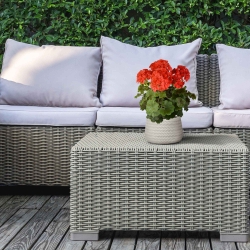 Geranio PL Boeket XL 40cm UV Rood